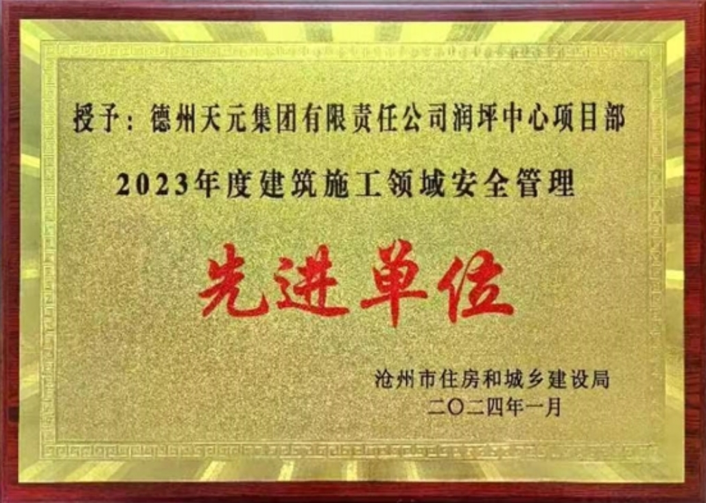 近期，天碩分公司榮獲多項榮譽