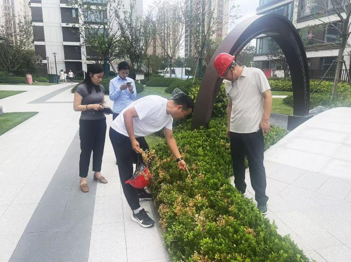 昱景蘭庭開展一期綠化工程品質(zhì)校準(zhǔn)與優(yōu)化提升專項(xiàng)工作